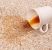 South Gastonia Carpet Stain Removal by Quality Swan Cleaning Services